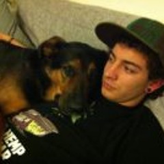 Christoph Diesenreither