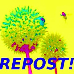 Dave McKeown's Reposts