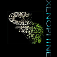 Xenophine
