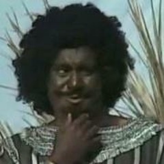Ahmed Hassan Badrawi