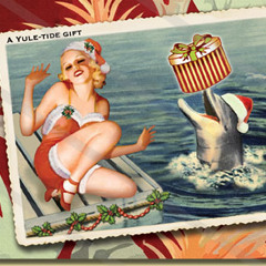 The Christmas Dolphin