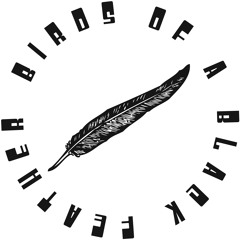 Birds of a Black Feather