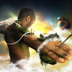 Hoodwinked Albatross