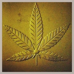 buddy__
