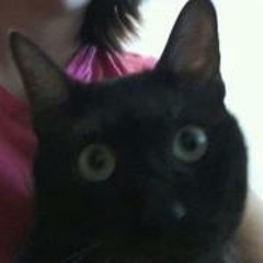 Defying Gravity Chipmunk Version