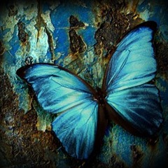 Veinte Años - Omara Portuondo (cover)