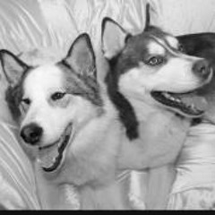 Tina Jecht Crockford