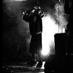 Tarek Abdel-Muhsen Saez