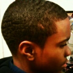 idb_zier