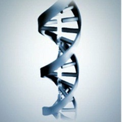 BioMolecular81