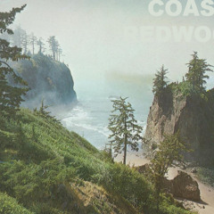 Coastal Redwoods