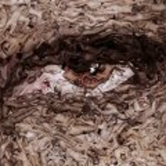 Alperen Küçükertan