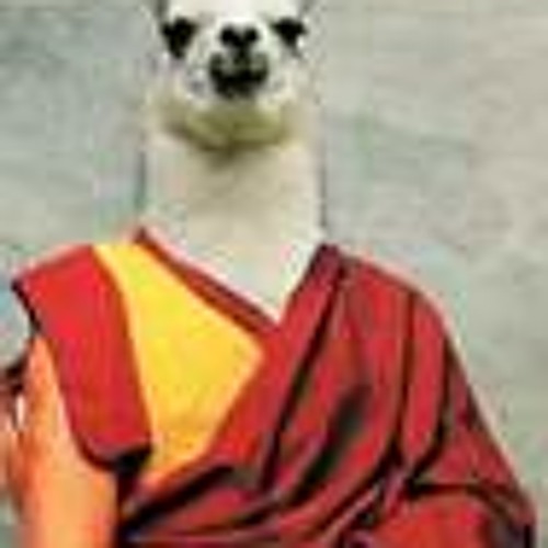 The trouble with Llamas?’s avatar