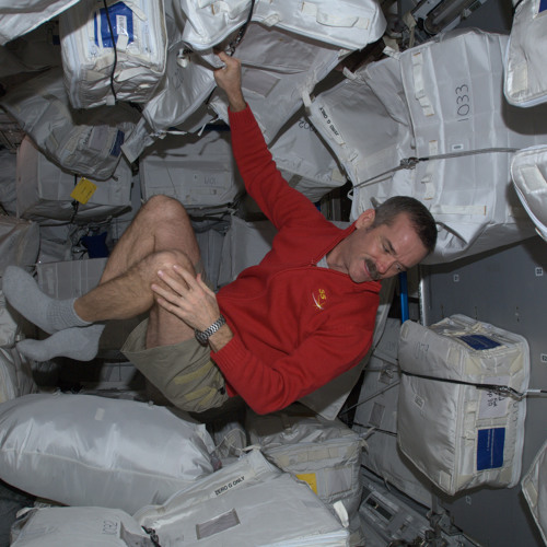 Wall Bungees on International Space Station