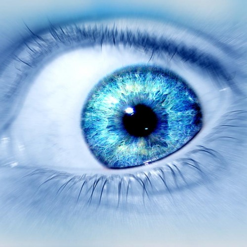 the bluest eye the bluest eye