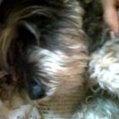 Catherine Angélica Gómez