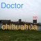 Doctor chihuahua lab