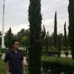Luis Hdz 8