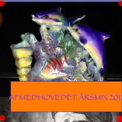 fødselsdagssamlingen AMH