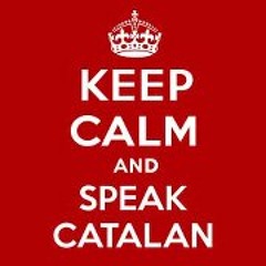 Miquel Torres IOliver