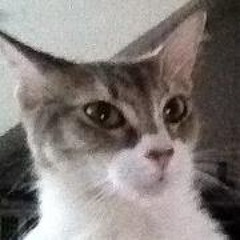 Christopher Stearman