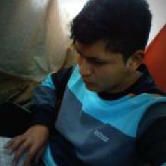 Stuard Palacios Pereyra