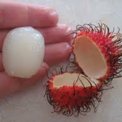megacube