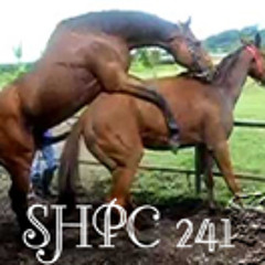 SHPC241