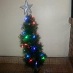 Wastu Maurice Fidèle