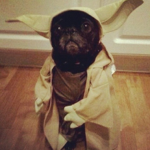 some deep groove that'll make you move!