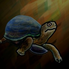 tortuga!