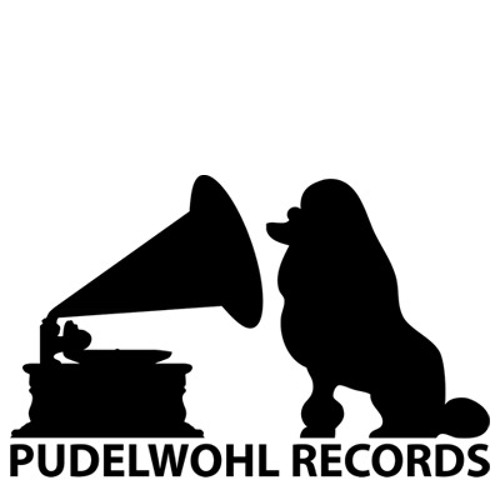 pudelwohlrecords’s avatar