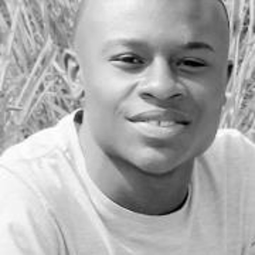 Art Popular Você em mim - Golfinho