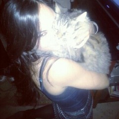 meowmeow86