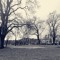 Lancashire