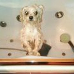 Adrián Peñalver Madrid