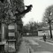 Leap Into The Void