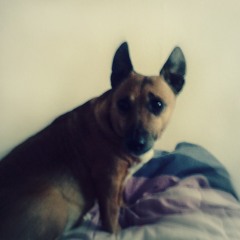 kimmy