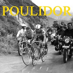 Poulidor