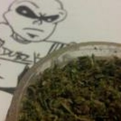 Proserpine Succorbenoth