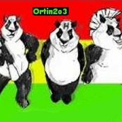 Ortin23