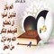 7oorAleen