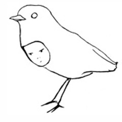 thechinesebirdwatchers