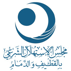 Adel Alsayegh