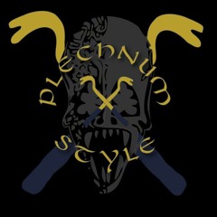 Plechnum Frame- Flädermüs