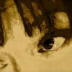 Julie Salmons Perelman