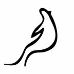 Salah AL-Qrash