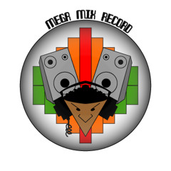 Mega Mix Record