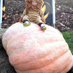 Stu and the Bailout Ps