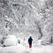 SnowWalker